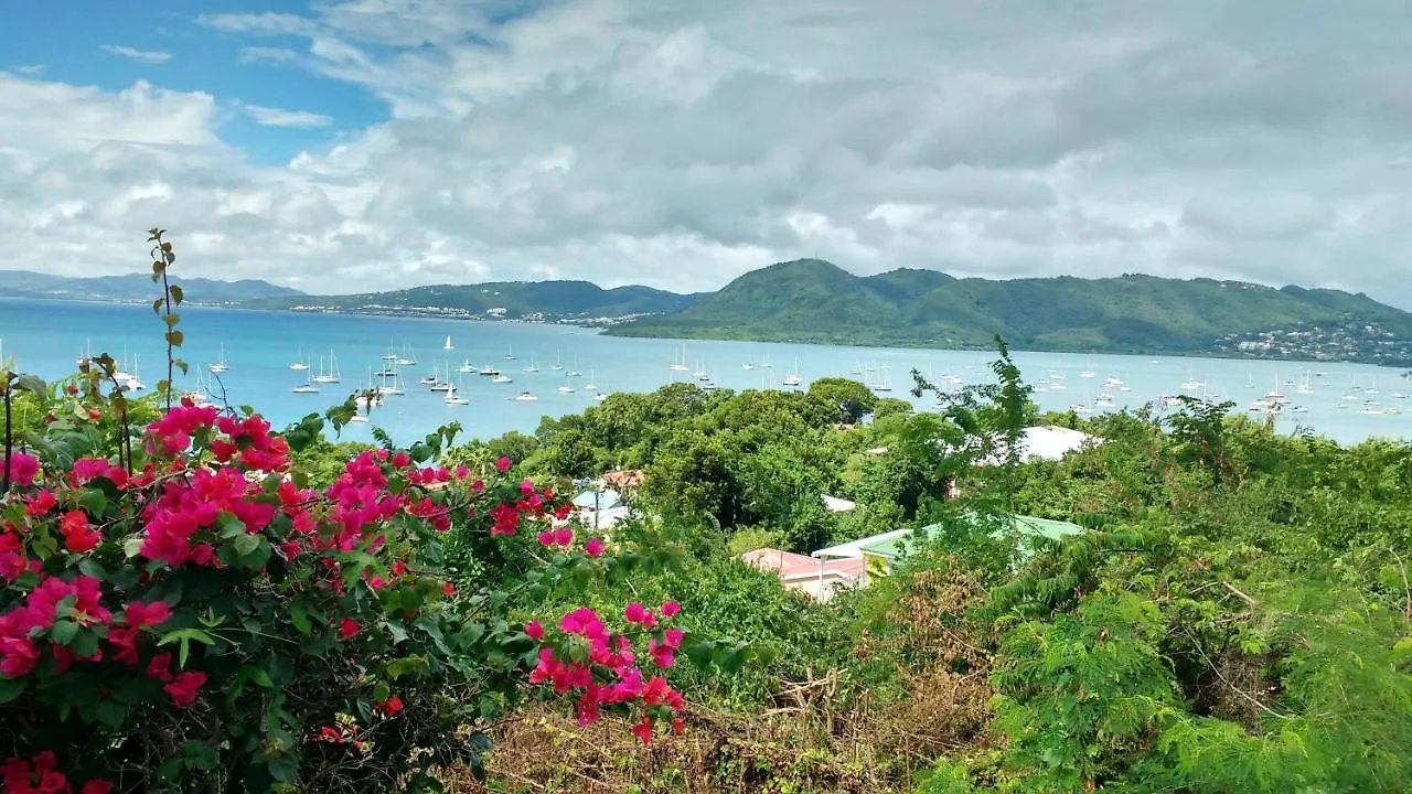 Vue Mer Sainte-Anne: Appartement avec Piscine et Balcon Martinique